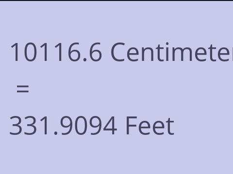10116.6 CM TO FEET