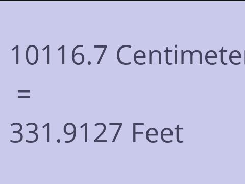 10116.7 CM TO FEET