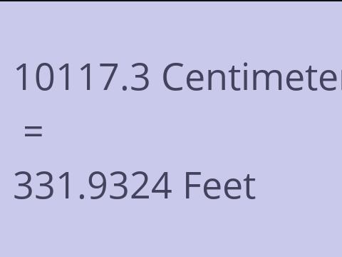 10117.3 CM TO FEET