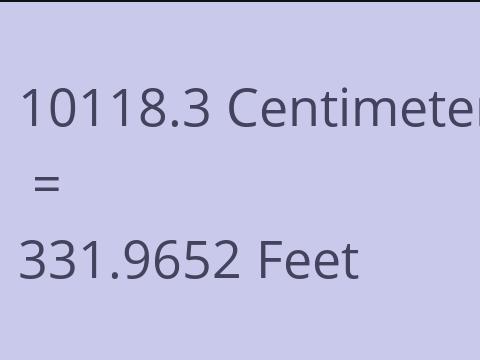 10118.3 CM TO FEET