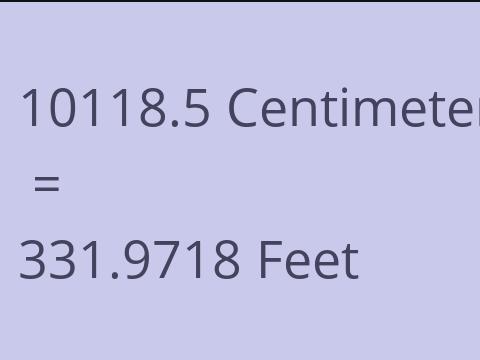10118.5 CM TO FEET