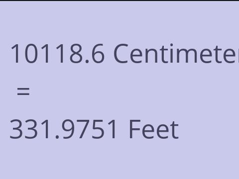 10118.6 CM TO FEET