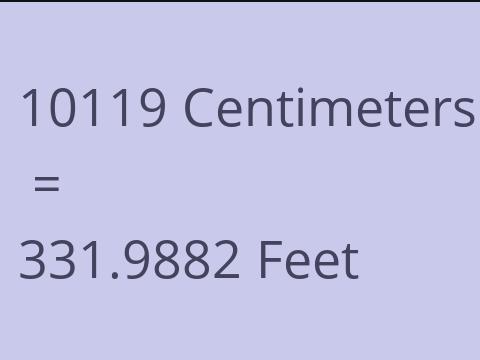 10119 CM TO FEET