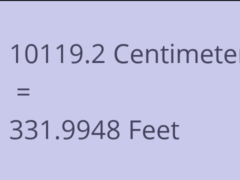 10119.2 CM TO FEET