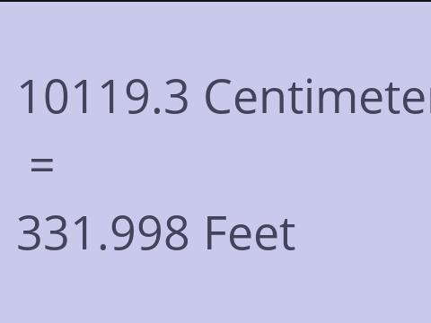 10119.3 CM TO FEET
