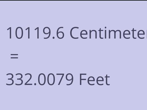 10119.6 CM TO FEET