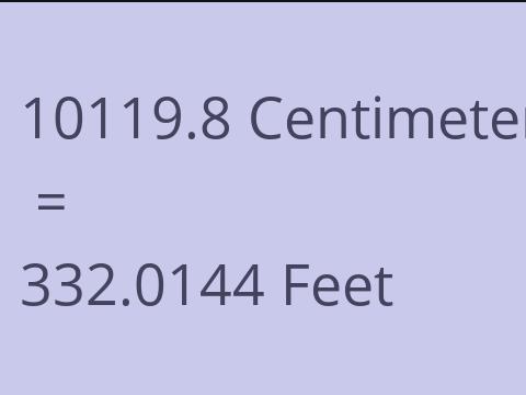 10119.8 CM TO FEET