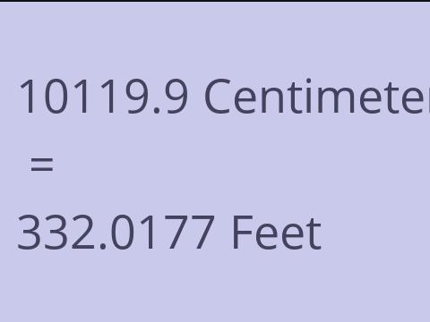 10119.9 CM TO FEET