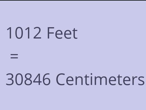 1012 FEET TO CM