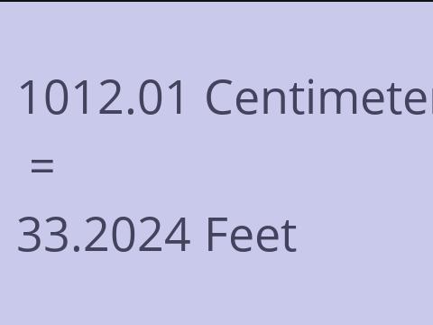 1012.01 CM TO FEET