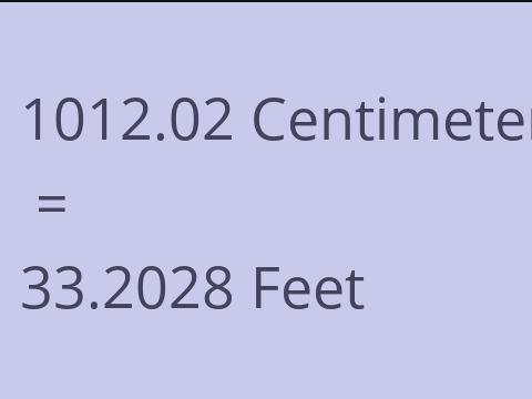 1012.02 CM TO FEET