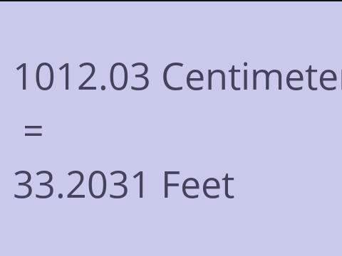 1012.03 CM TO FEET