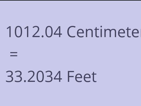 1012.04 CM TO FEET