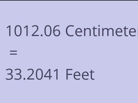 1012.06 CM TO FEET