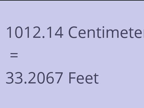 1012.14 CM TO FEET