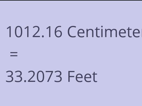 1012.16 CM TO FEET