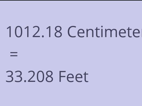 1012.18 CM TO FEET