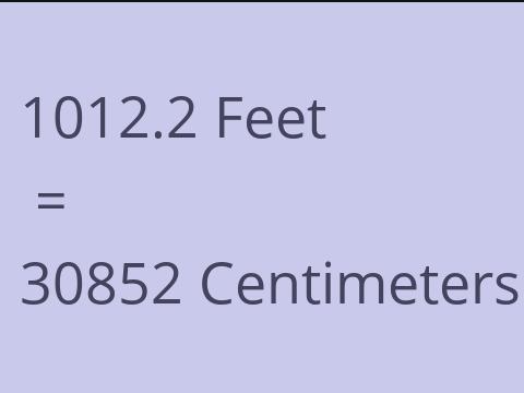 1012.2 FEET TO CM