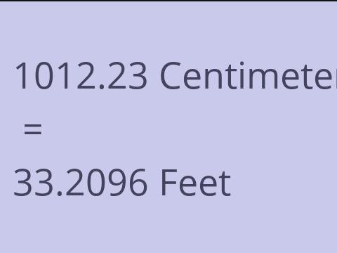 1012.23 CM TO FEET