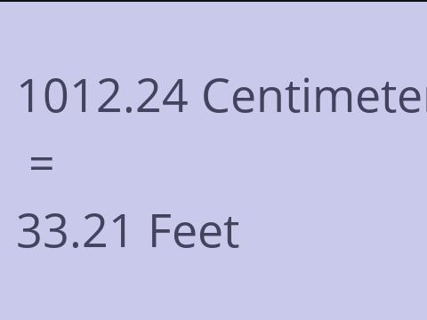 1012.24 CM TO FEET