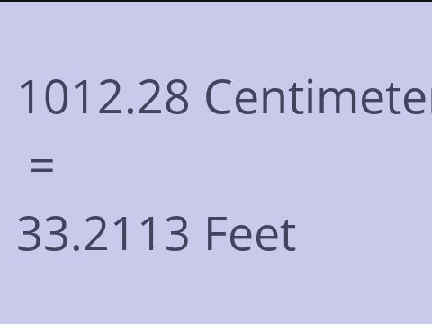 1012.28 CM TO FEET