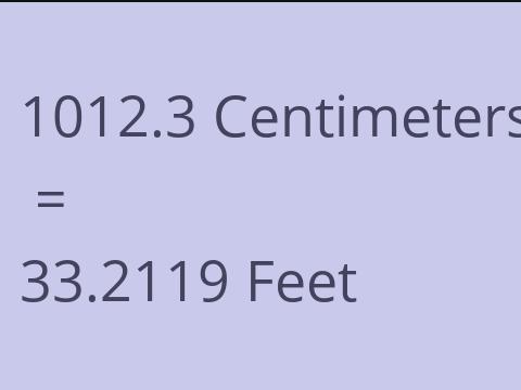 1012.3 CM TO FEET