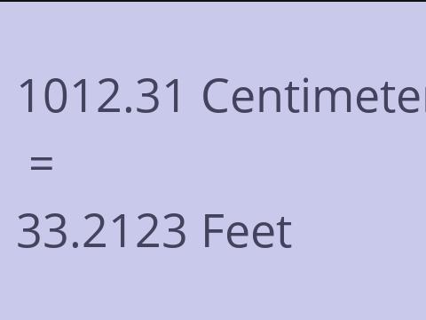 1012.31 CM TO FEET