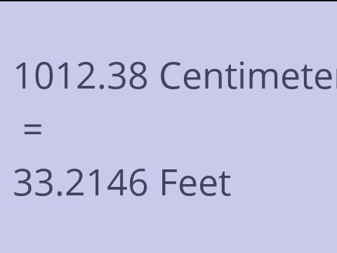 1012.38 CM TO FEET