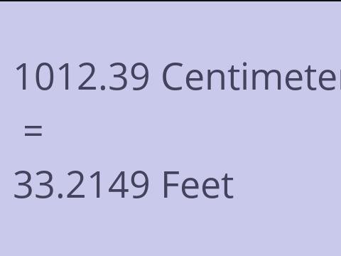 1012.39 CM TO FEET