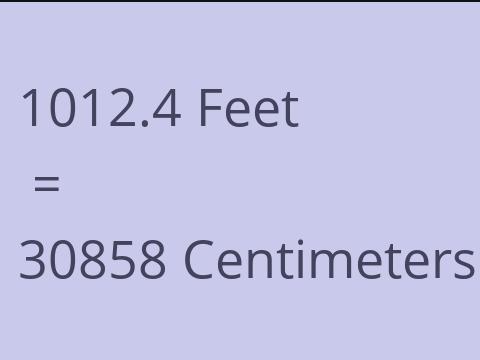 1012.4 FEET TO CM