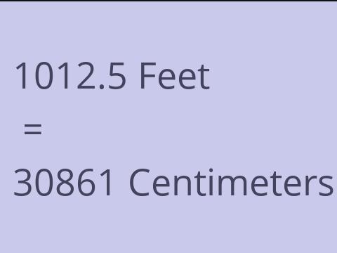 1012.5 FEET TO CM