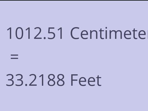 1012.51 CM TO FEET