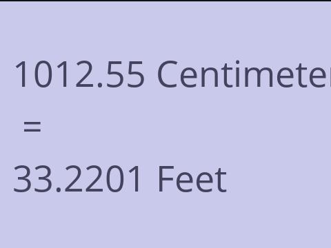 1012.55 CM TO FEET