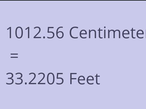 1012.56 CM TO FEET