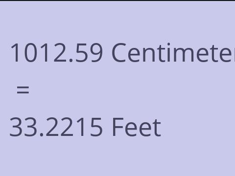 1012.59 CM TO FEET