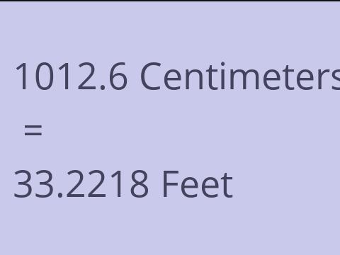 1012.6 CM TO FEET