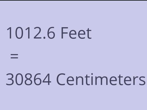 1012.6 FEET TO CM