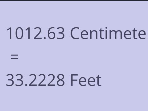 1012.63 CM TO FEET