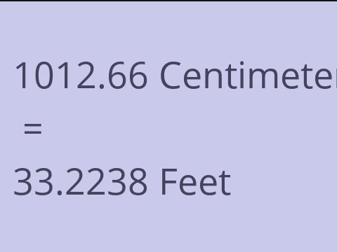 1012.66 CM TO FEET