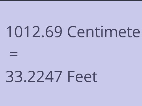 1012.69 CM TO FEET