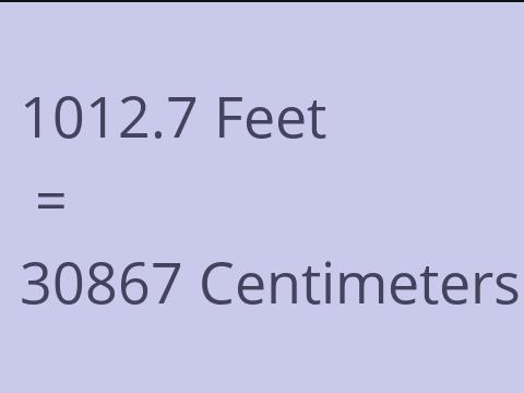 1012.7 FEET TO CM