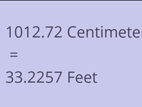 1012.72 CM TO FEET