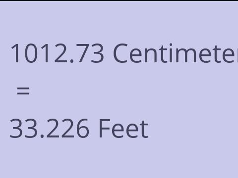 1012.73 CM TO FEET