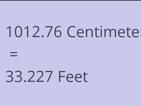 1012.76 CM TO FEET