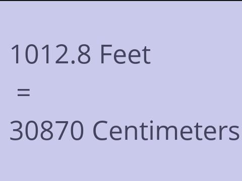 1012.8 FEET TO CM