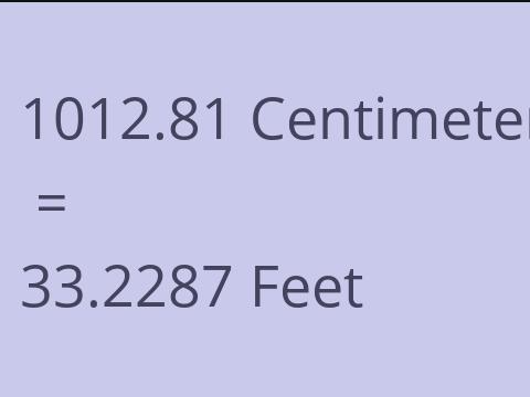 1012.81 CM TO FEET