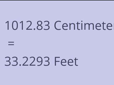 1012.83 CM TO FEET