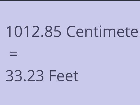 1012.85 CM TO FEET