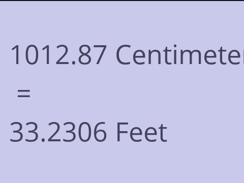 1012.87 CM TO FEET