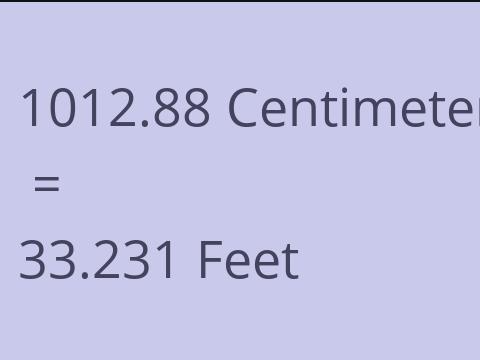 1012.88 CM TO FEET